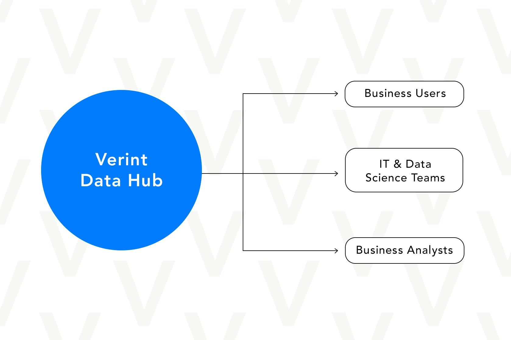 verint data hub diagram