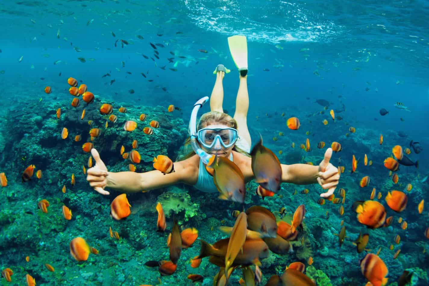Woman snorkeling with fish