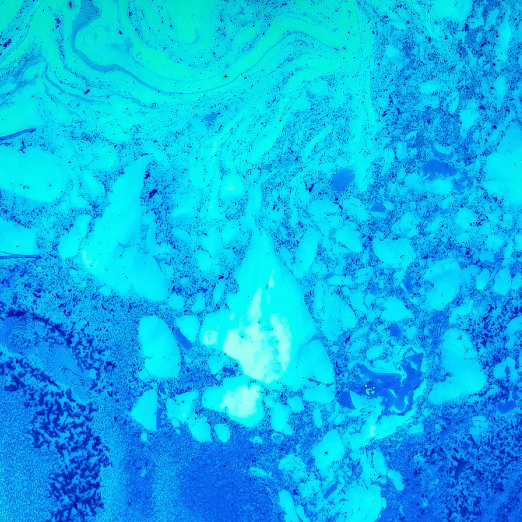 What is Screen Capturing or Screen Recording for Call Centers | Verint