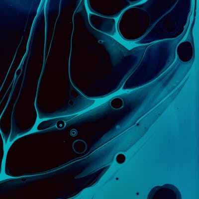 Verint nextiva 2024 camera compatibility list